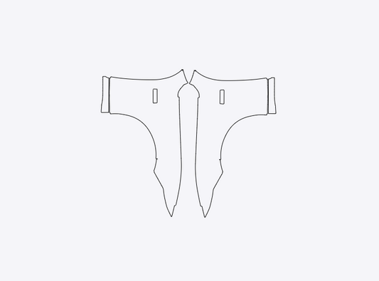 Ford Mustang GT 2024-2025 Front Fender PPF Kit