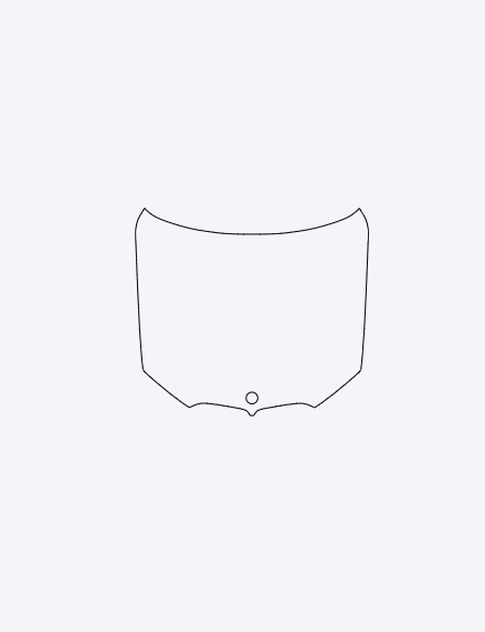 BMW X5 xDrive45e xLine 2021-2023 Hood PPF